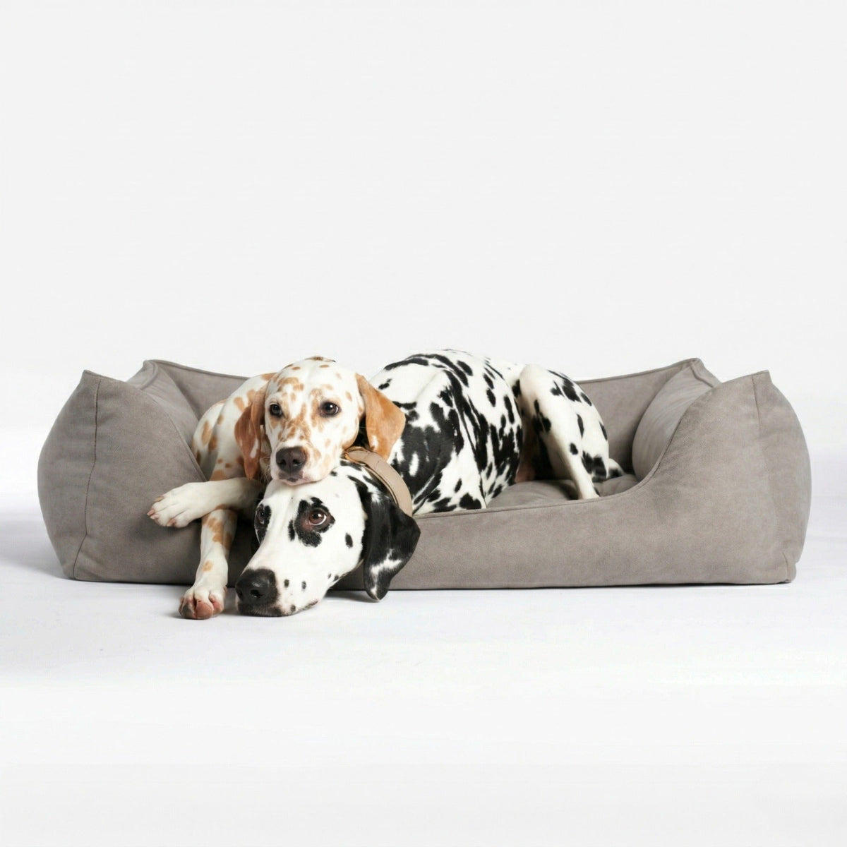William Walker Orthopedic Plain Dog Bed Sand (Beige) / S / Kissen (Flocken)