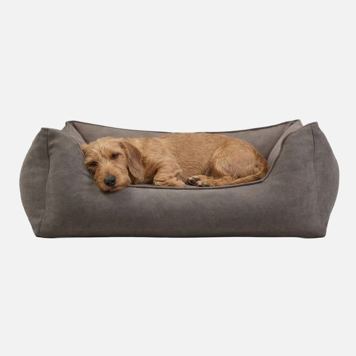 William Walker Orthopedic Plain Dog Bed Stone / S / Kissen (Flocken)