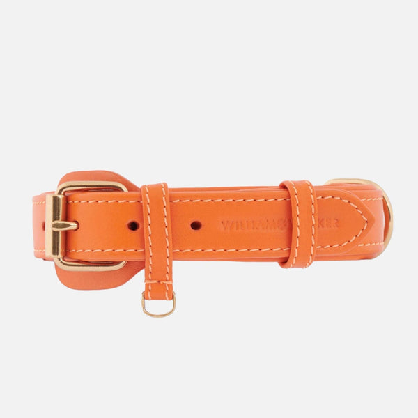 Collare per cani in pelle Amber (Arancione)