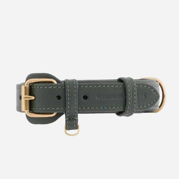 Collare per cani in pelle Dark Moss (verde bosco)