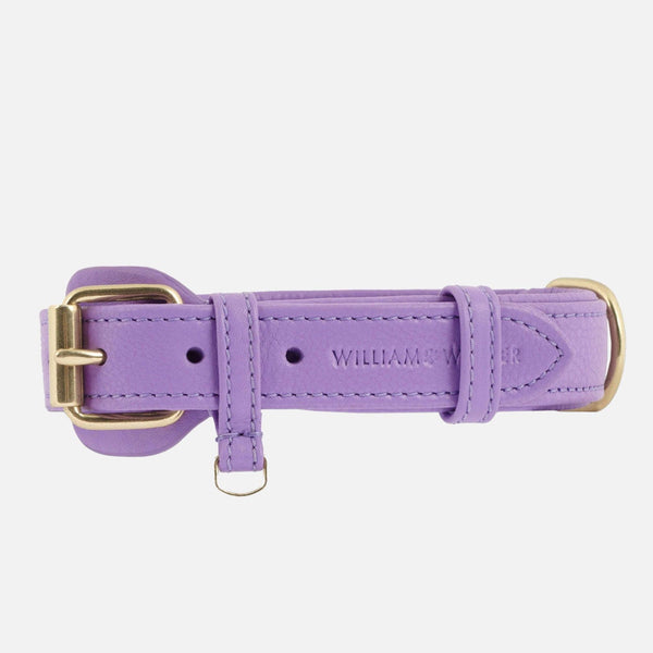 Collare per cani in pelle Lavender (Viola)