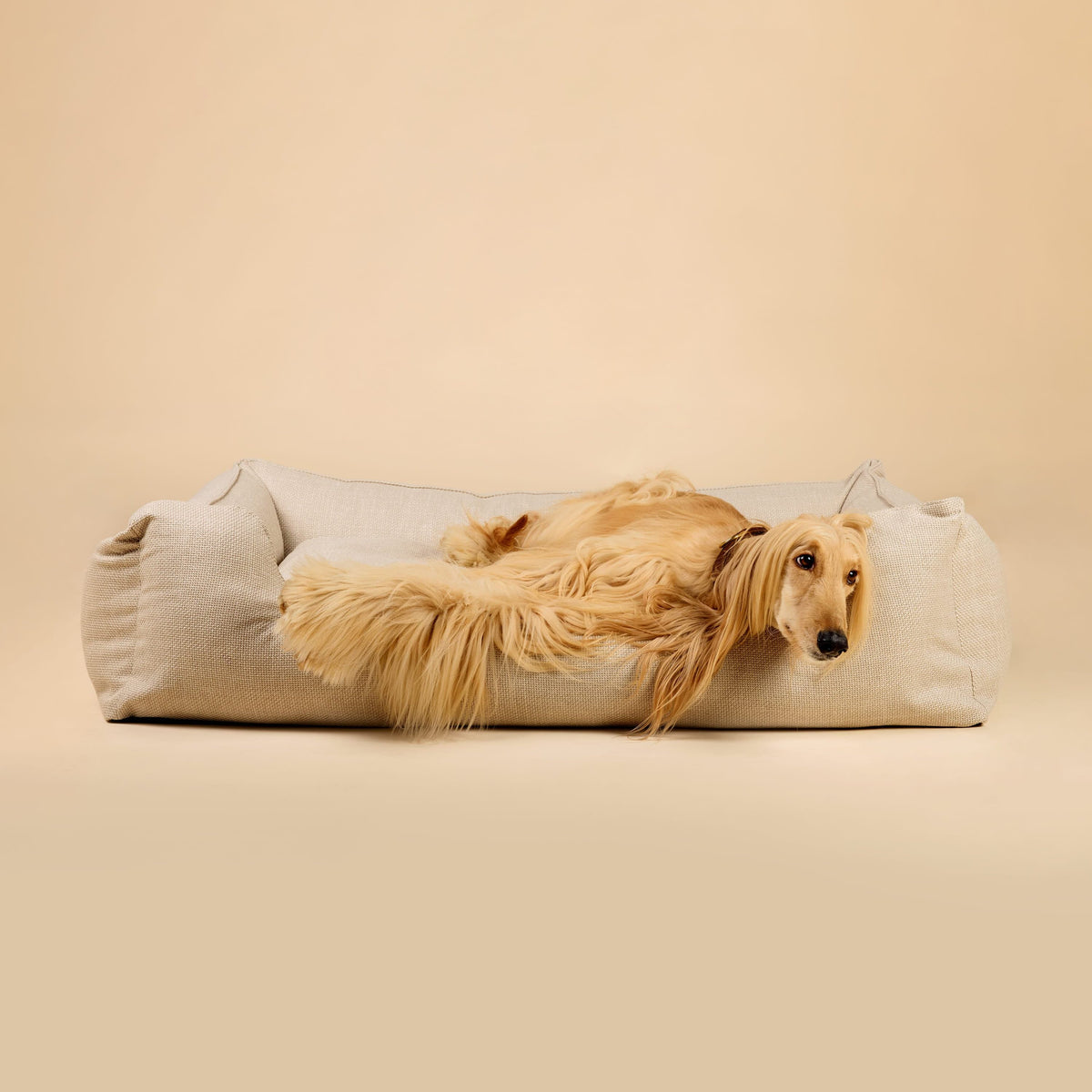 William Walker Orthopedic Dog Bed Luxe Sand / S / Kissen (Flocken)