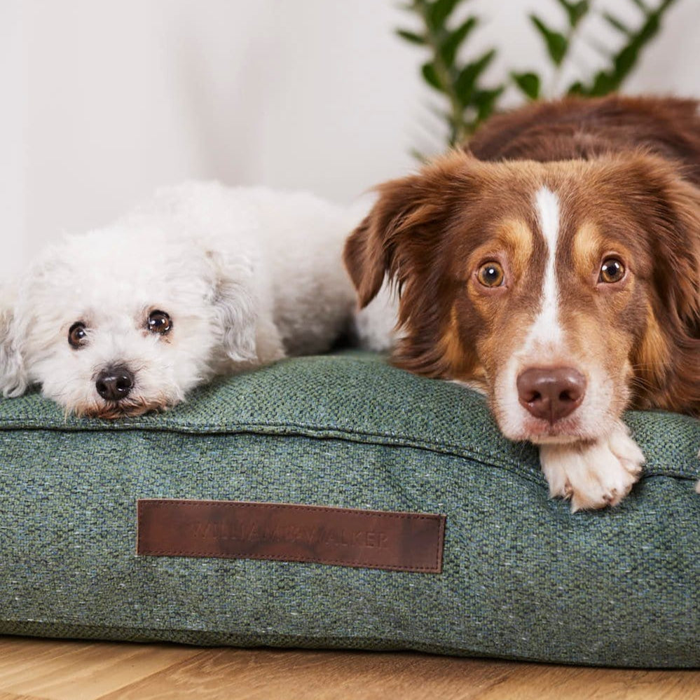 Orthopädisches Hundekissen in grün