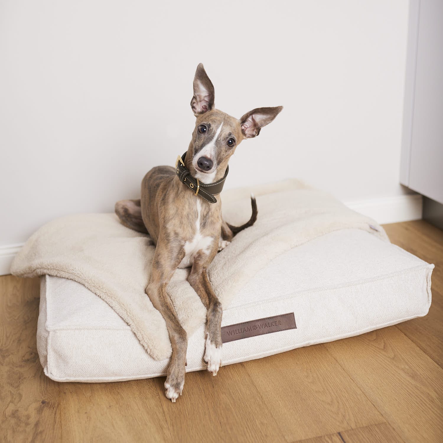 Orthopädisches Hundekissen und flauschige Decke in beige