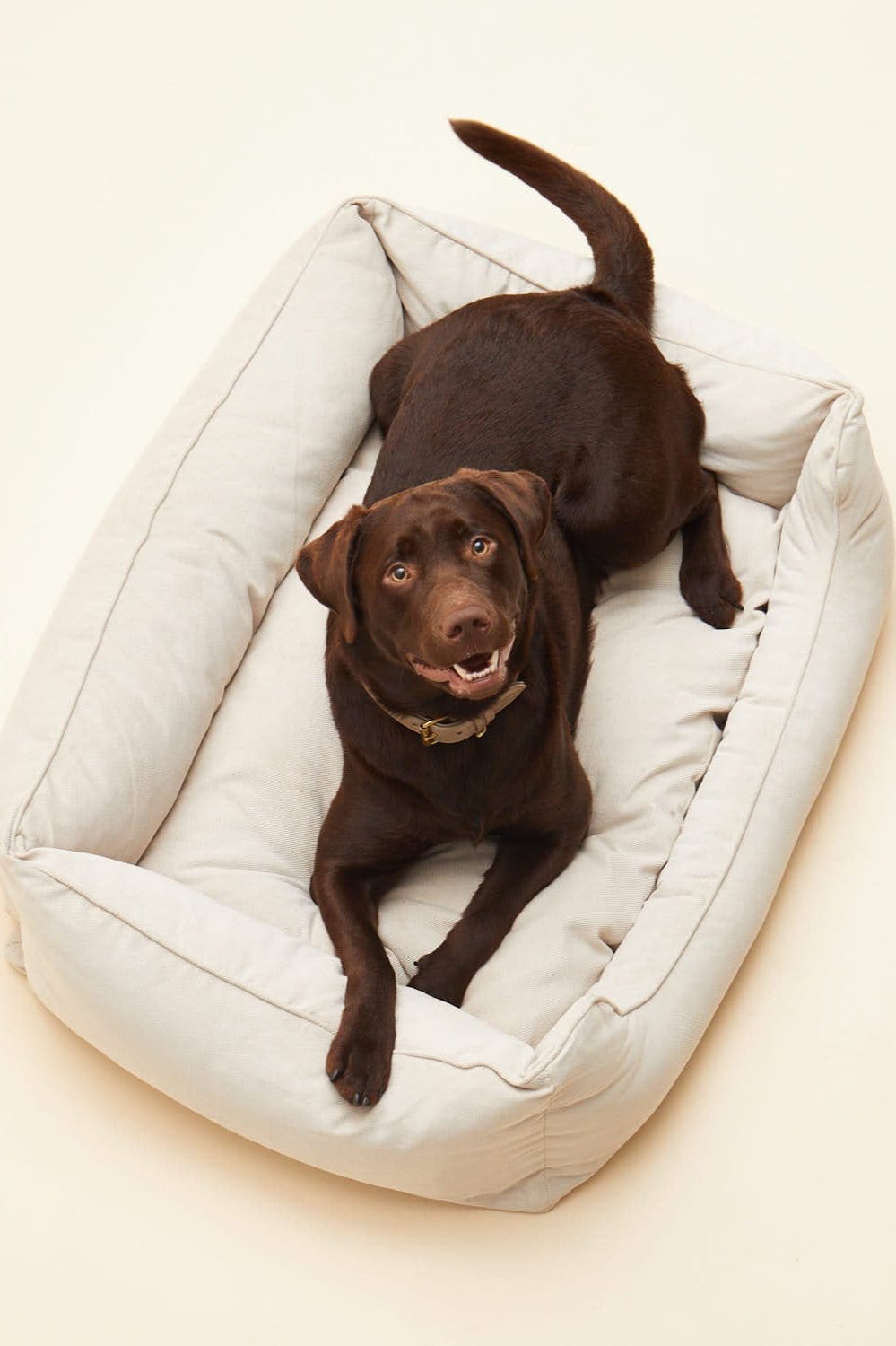 Orthopädisches Hundebett in hellem beige