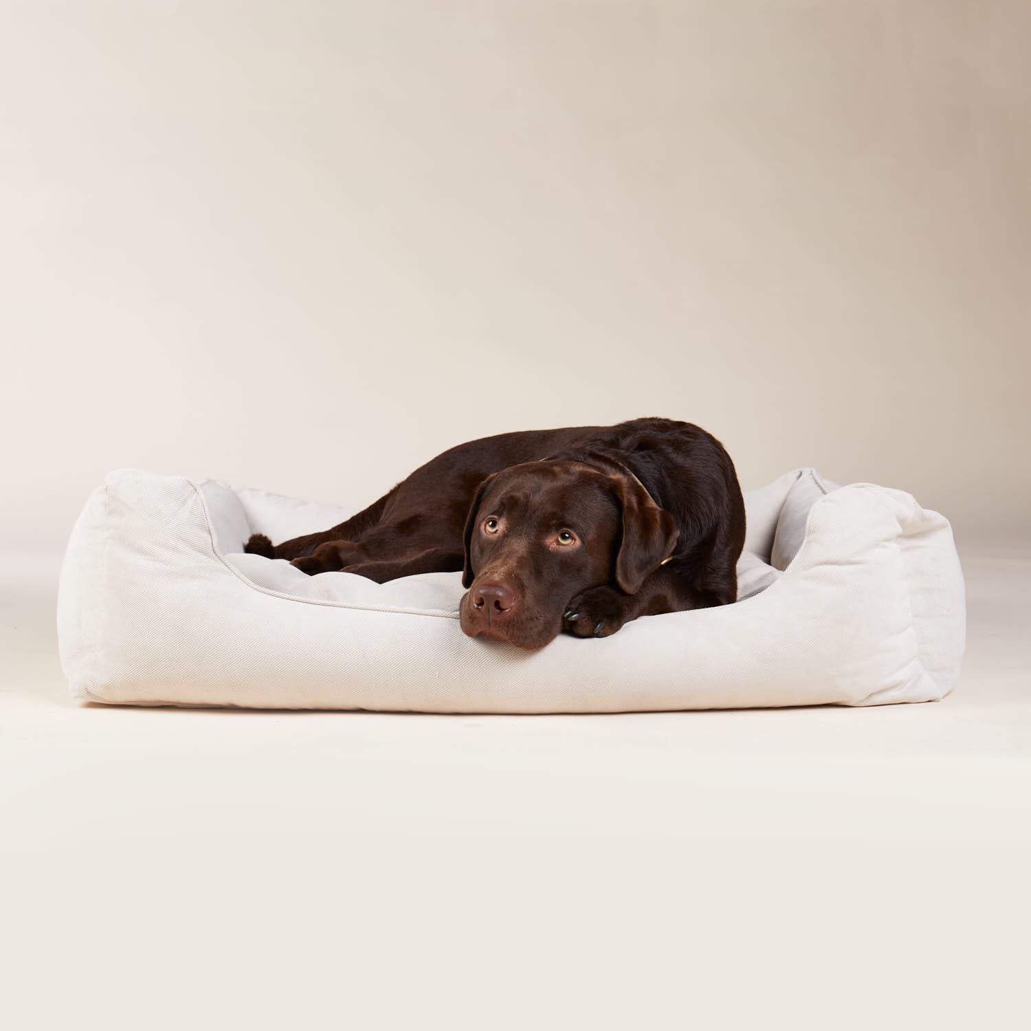 William Walker Sleep Bundle