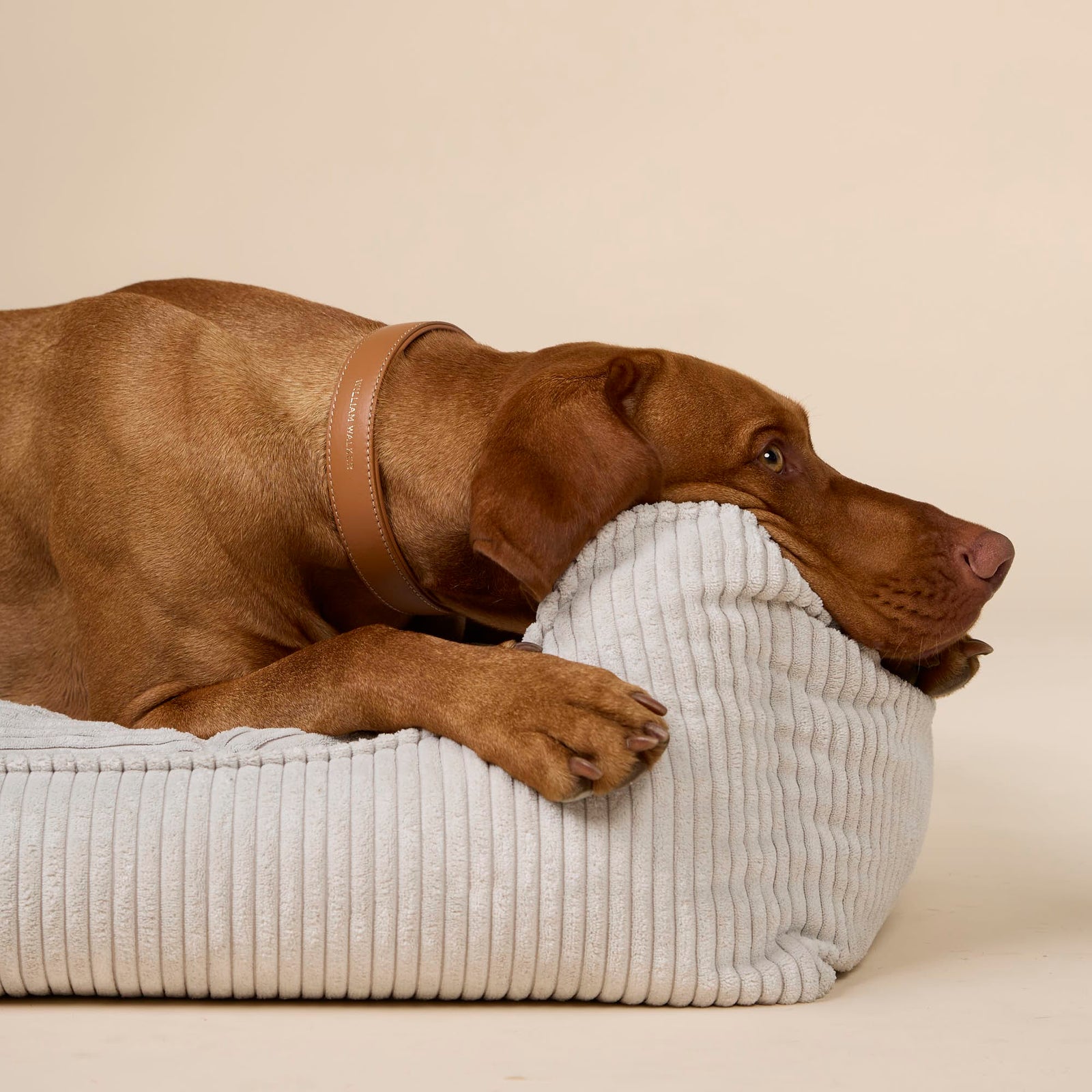 William Walker (B-Ware) Orthopädisches Cord Hundebett Moonlight (Hellgrau)