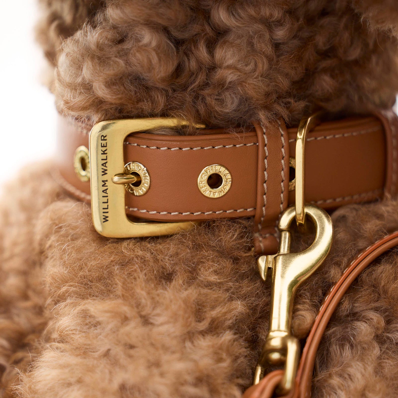 William Walker Glattleder Hundehalsband Caramel