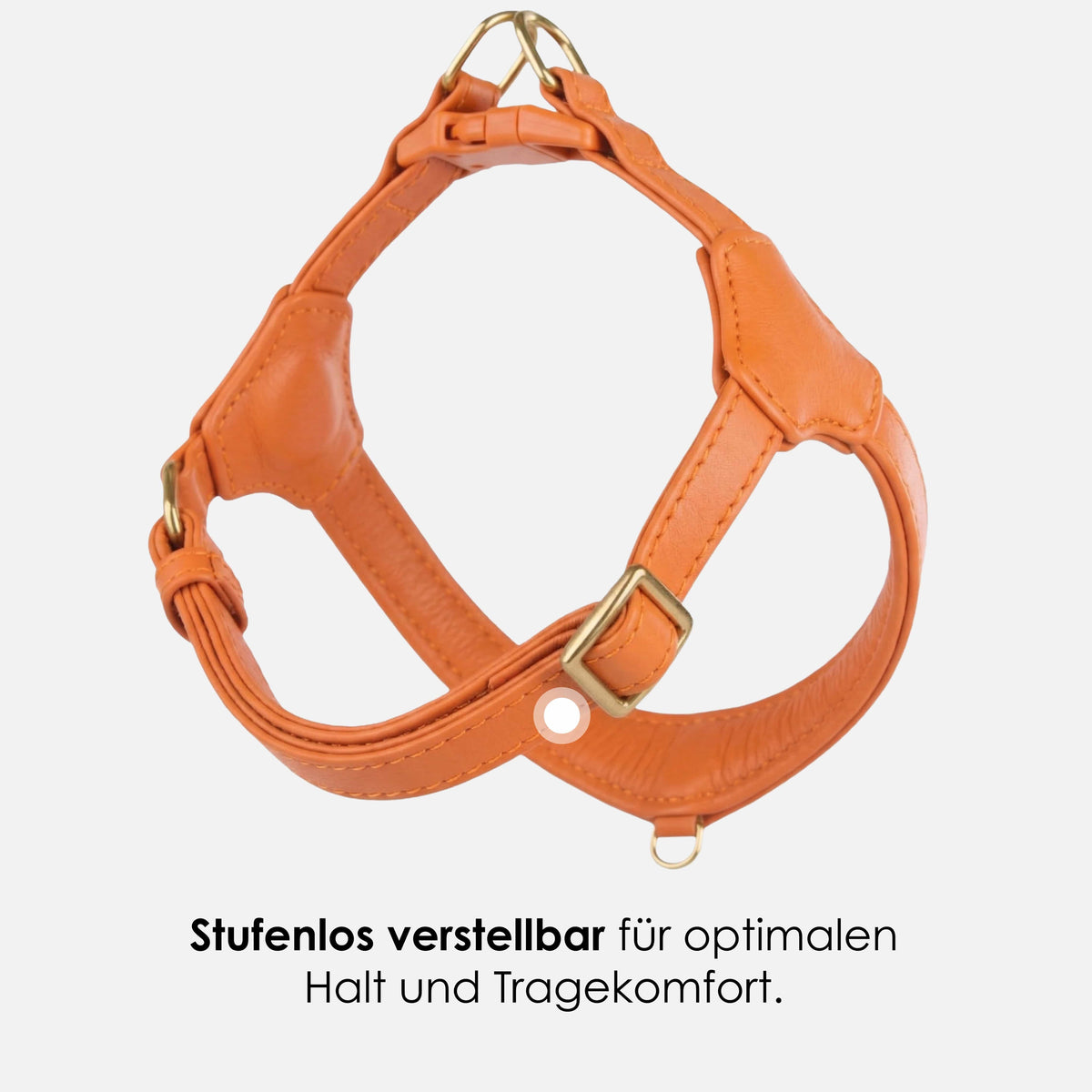 William Walker Step-In Leather Dog Harness Pico for Small Dogs Amber (orange) / 1