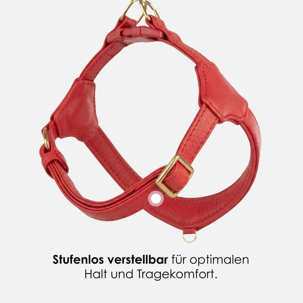 William Walker Step-In Leather Dog Harness Pico for Small Dogs Chili (rot) / 1