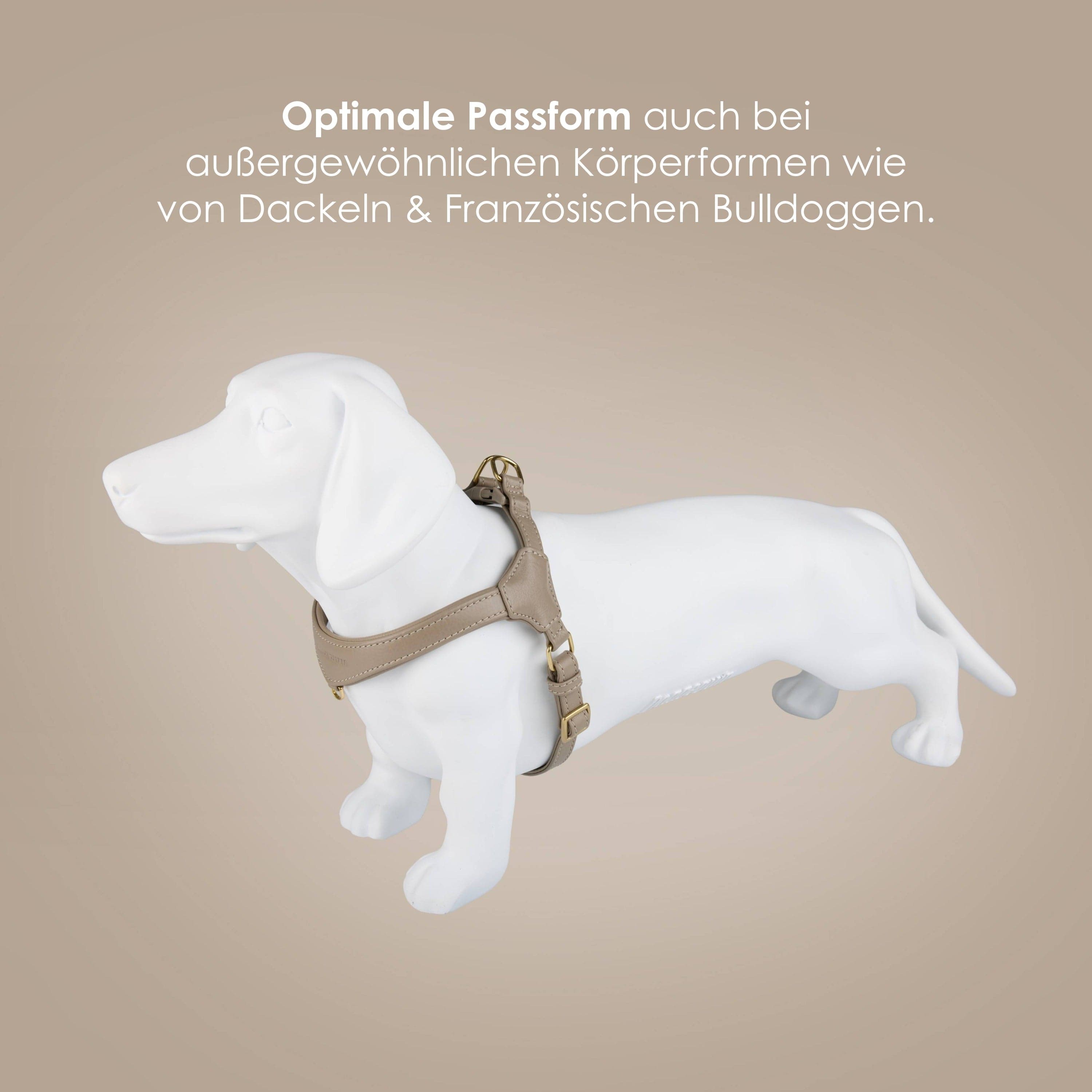 William Walker Step-In Leder Geschirr Pico für kleine Hunde