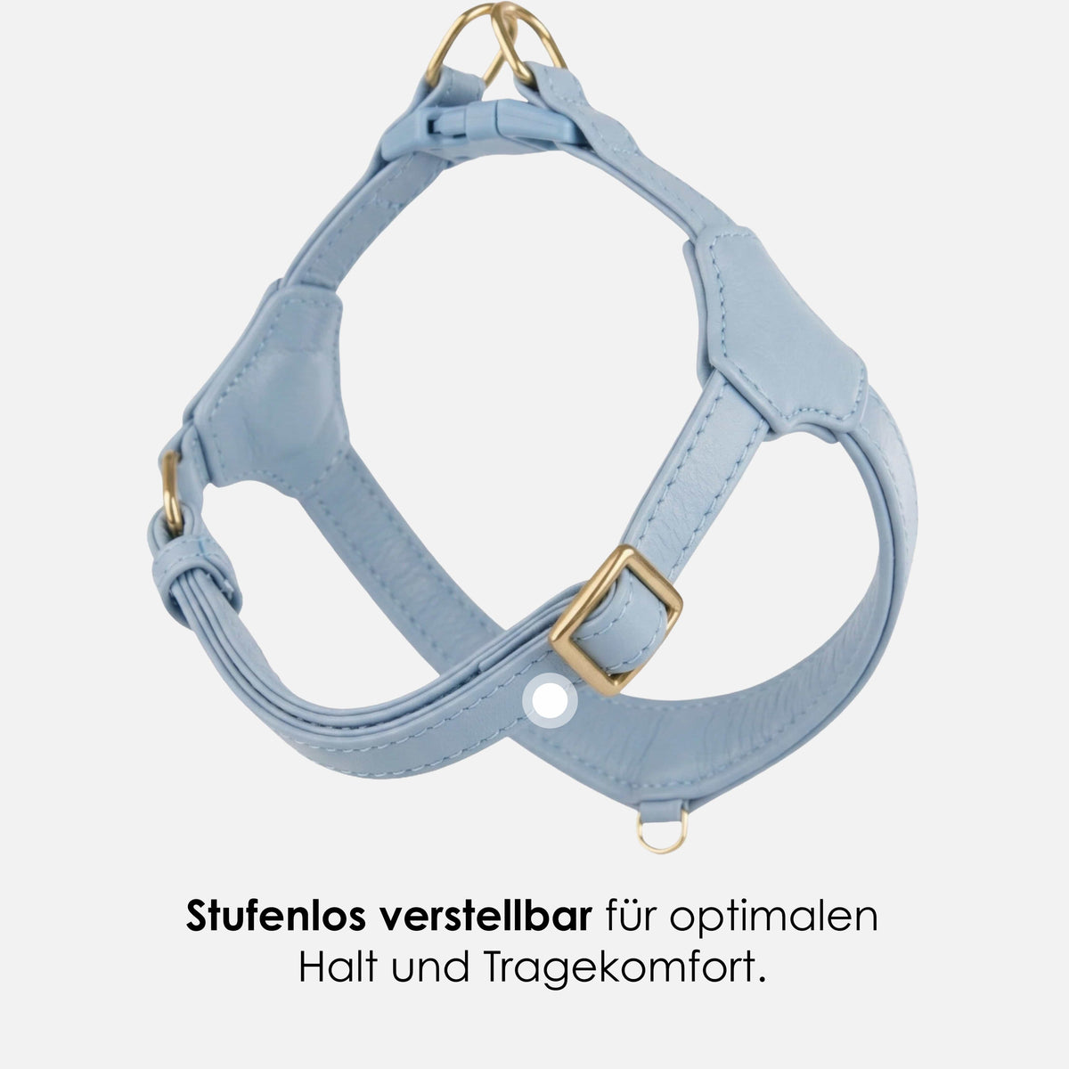 William Walker Step-In Leather Dog Harness Pico for Small Dogs Sky (hellblau) / 1