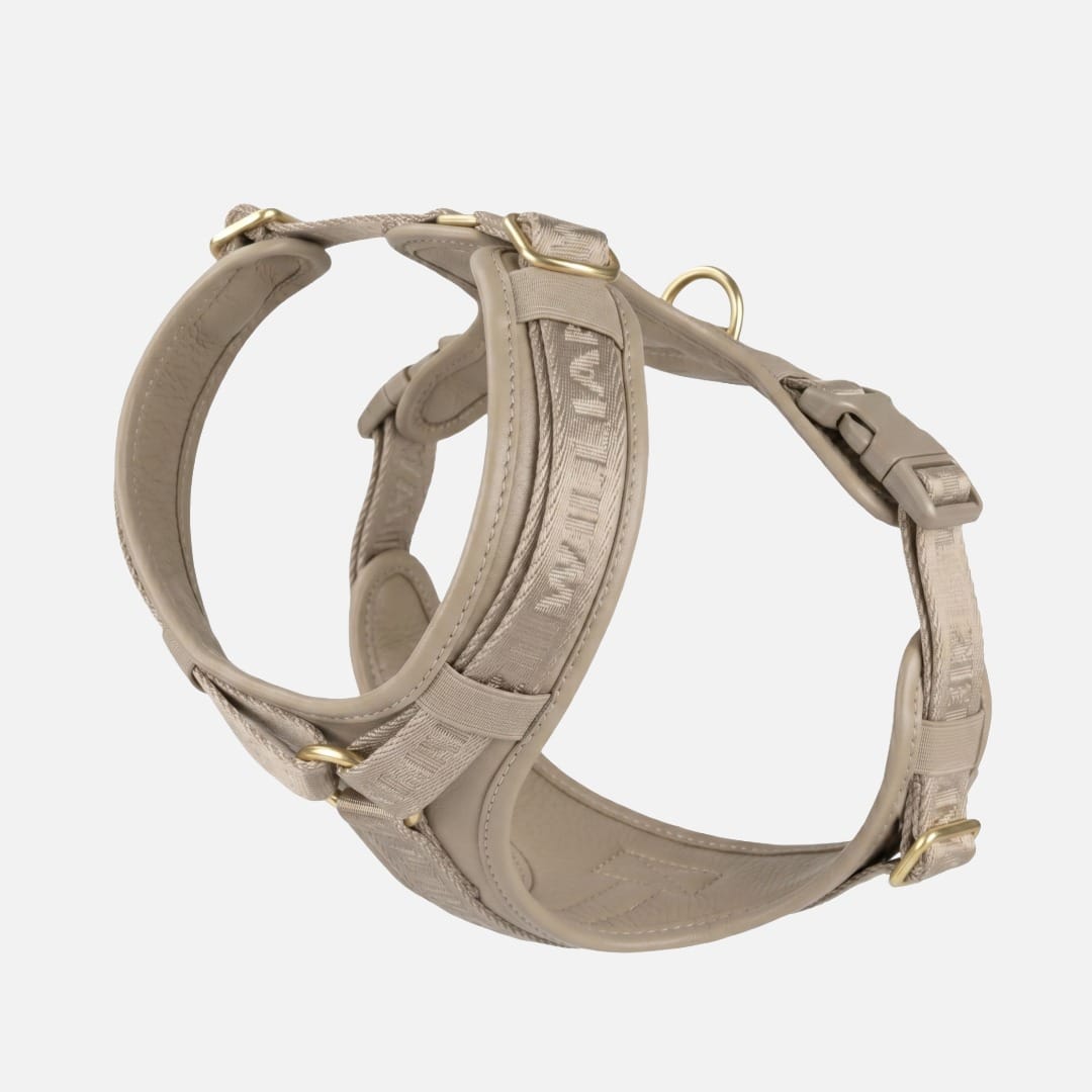 William Walker Leder Hundegeschirr Plain