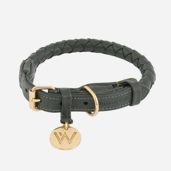 Collare per cani in pelle Twisted Dark Moss (verde bosco)