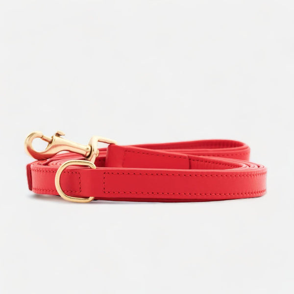 Guinzaglio per cani in pelle di alta qualità Chili (Rosso)
