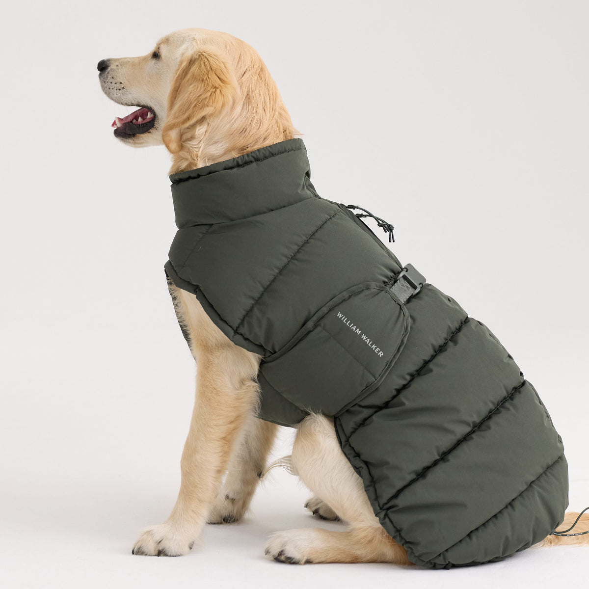 William Walker Cappottino invernale caldo per cani Alpine